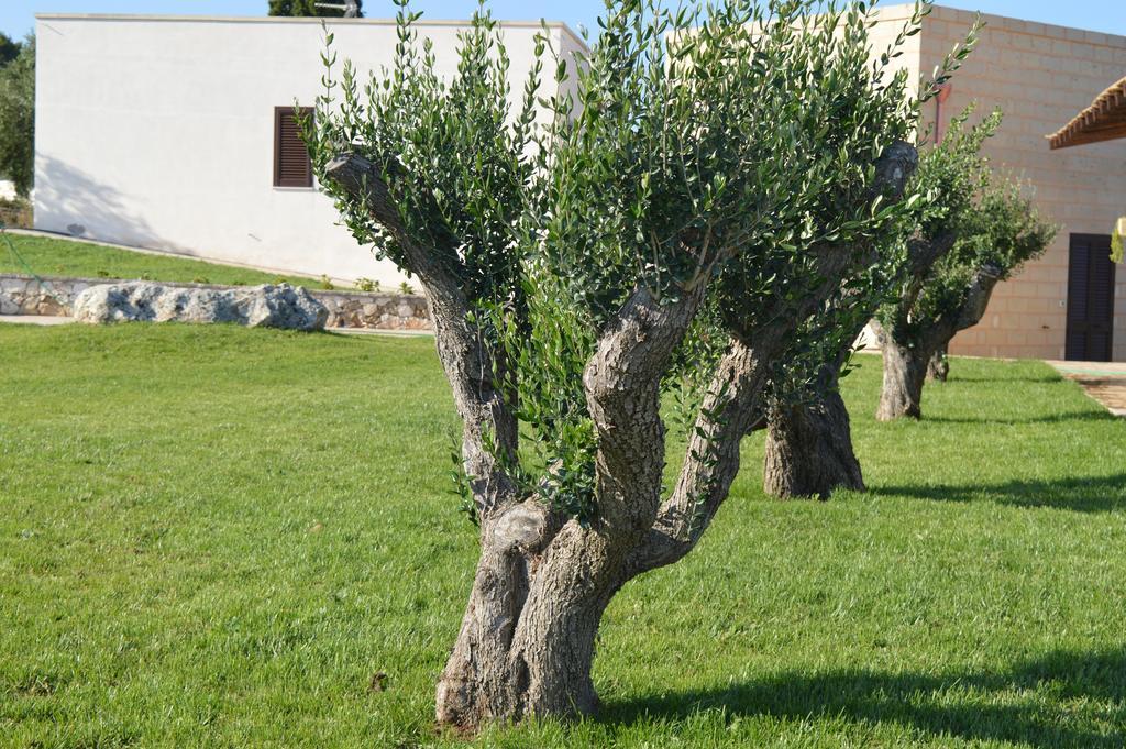 Agriturismo Casa Del Peperoncino Villa Otranto Dış mekan fotoğraf