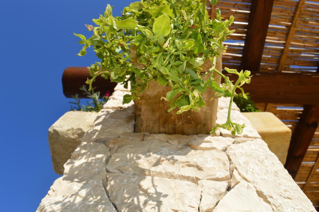 Agriturismo Casa Del Peperoncino Villa Otranto Dış mekan fotoğraf